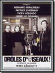 poster de Drôles d'oiseaux !