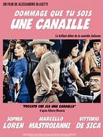 poster de Dommage que tu sois une canaille