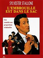 poster de L'Embrouille est dans le sac