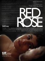 poster de Red Rose