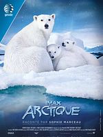 poster de Arctique