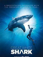 poster de Great White Shark