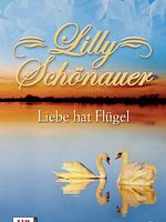 poster de Les Ailes de l'amour