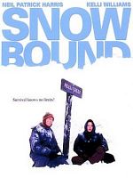 poster de Tempête de neige