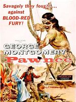 poster de L'Indien blanc