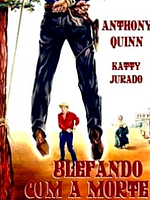 poster de Le Tueur et la belle