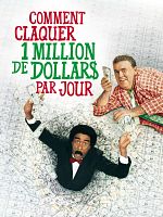 poster de Comment claquer un million de dollars par jour