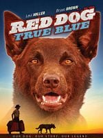 poster de Blue, mon Chien d'Australie