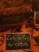 poster de Les Ailes du Coeur