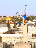 poster de Derrière les fronts: résistances et résiliences en Palestine
