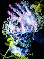 poster de Du soleil dans nos yeux