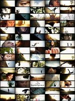 poster de Les Ephémères fugitifs