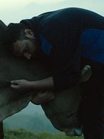 poster de Lessons of Love