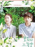 poster de A Boy and Sungreen