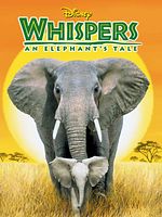 poster de Whispers : An Elephant's Tale