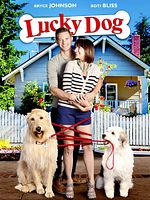 poster de Un chien très chanceux