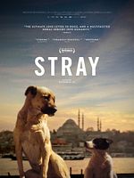 poster de Stray