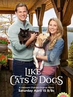 poster de L'amour comme chiens et chats