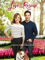 poster de Un coup de foudre en garde partagée