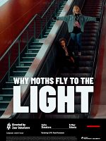 poster de Why Moths Fly to the Light?