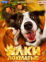 poster de Yoko et Pirate: duo de choc contre filous