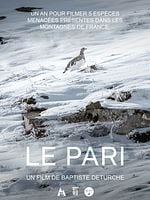 poster de Le Pari