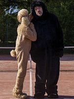 image de Canis Familiaris