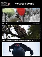 poster de Au cœur du nid