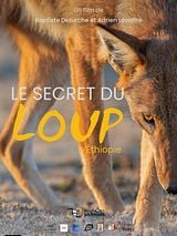 poster du film Le Secret du Loup d’Éthiopie