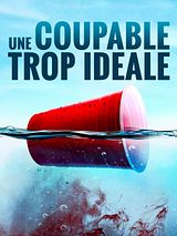 Affiche de Une coupable trop idéale, film à voir en streaming sur Pygargue