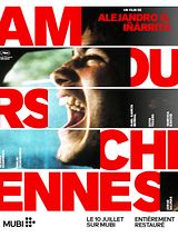 poster du film Amours chiennes