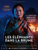 poster du film Les Elephants dans la brume