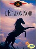 Black Stallion (Original Motion Picture Soundtrack)