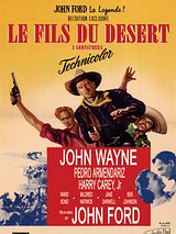 Affiche de Le Fils du désert, film à voir en streaming sur Pygargue