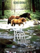 Affiche de Pom le poulain, film à voir en streaming sur Pygargue
