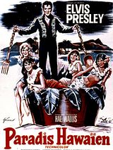 Affiche de Paradis hawaiien, film à voir en streaming sur Pygargue