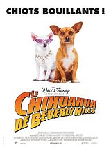 Affiche de Le Chihuahua de Beverly Hills, film à voir en streaming sur Pygargue