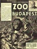 Affiche de Zoo a Budapest, film à voir en streaming sur Pygargue