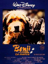 Affiche de Benji la malice, film à voir en streaming sur Pygargue