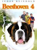 Affiche de Beethoven 4, film à voir en streaming sur Pygargue