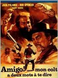 Affiche de Amigo... Mon colt a deux mots à te dire, film à voir en streaming sur Pygargue
