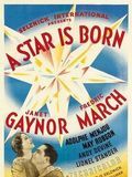 Affiche de Une Étoile est née, film à voir en streaming sur Pygargue