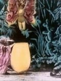 poster du film La Chrysalide et le papillon