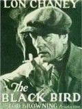 Affiche de L'Oiseau noir, film à voir en streaming sur Pygargue