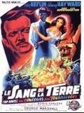 Affiche de Le Sang de la terre, film à voir en streaming sur Pygargue