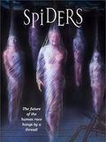Affiche de Spiders, film à voir en streaming sur Pygargue