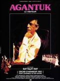 Affiche de Le Visiteur, film à voir en streaming sur Pygargue