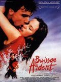 Affiche de Buisson ardent, film à voir en streaming sur Pygargue
