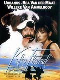 Affiche de Koko Flanel, film à voir en streaming sur Pygargue