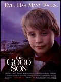 Affiche de Le Bon fils, film à voir en streaming sur Pygargue